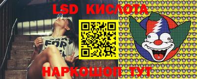 PSILOCYBIN Малоярославец