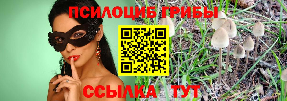 Псилоцибиновые грибы GOLDEN TEACHER Ивантеевка